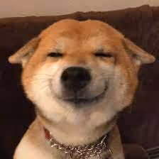 Untitled Collection #145113767