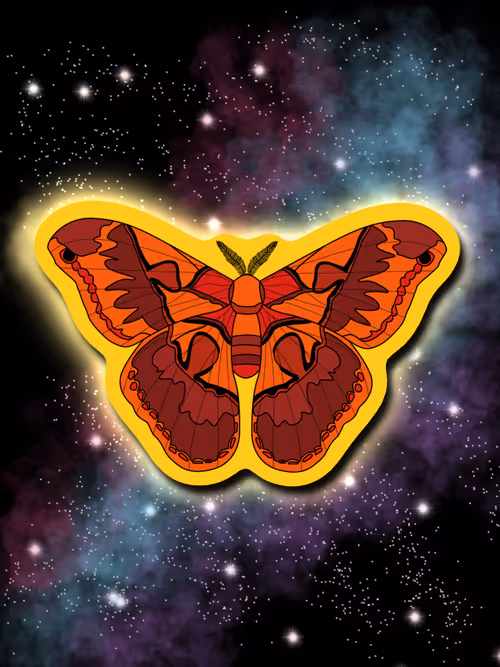 Item #26695375726130491819846042962505402337385115040526357390892607943504191029249 Media