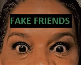 Untitled Collection #180992372