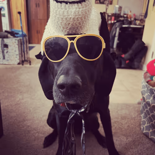 Untitled Collection #35094110