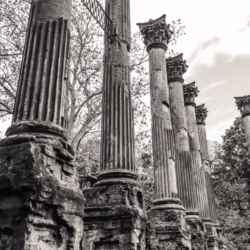 Untitled Collection #67231348