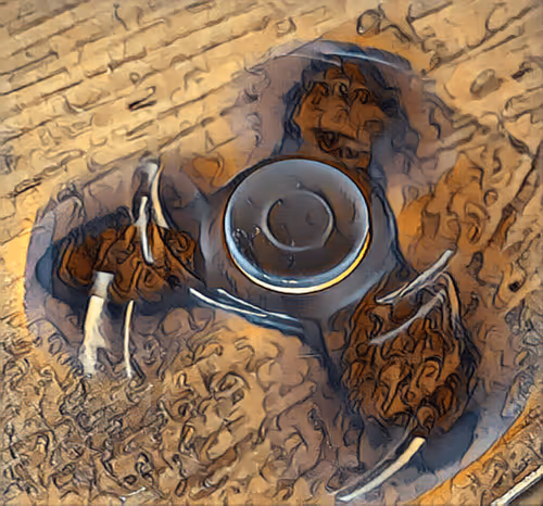 Item #13324389896169280785724229515865424122863587098162181637373510640455838072833 Media