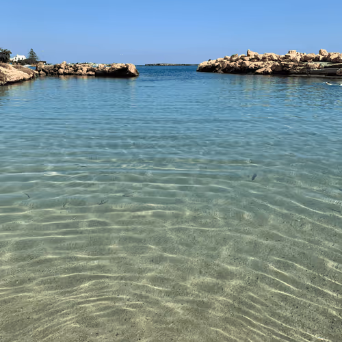 Untitled Collection #77750598