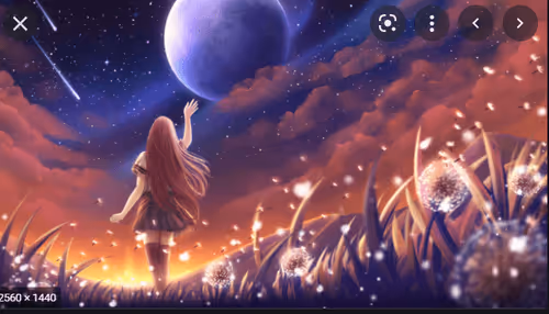 Untitled Collection #59000470