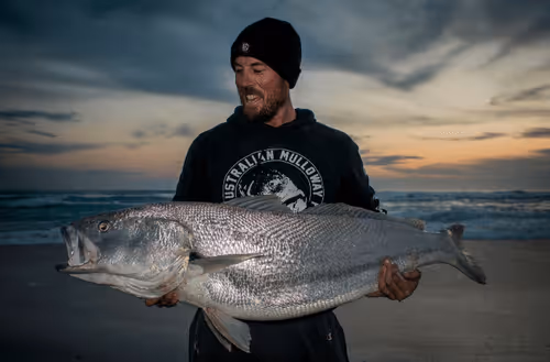 Untitled Collection #199104374