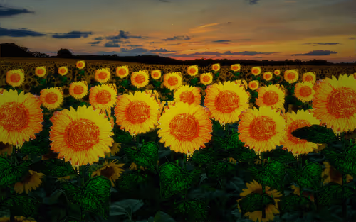 Item #41423174657448755454775180770704774351895892577704630438802697542375391100929 Media