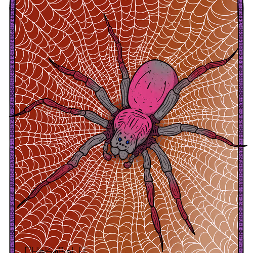 Poisonous Spiders