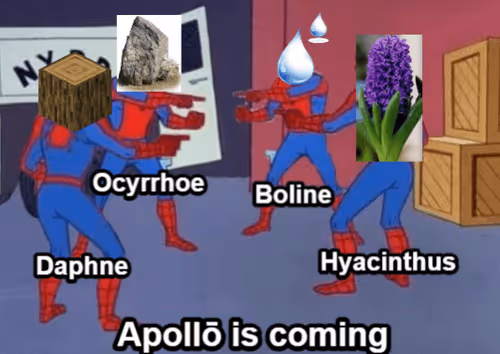 Untitled Collection #177166265