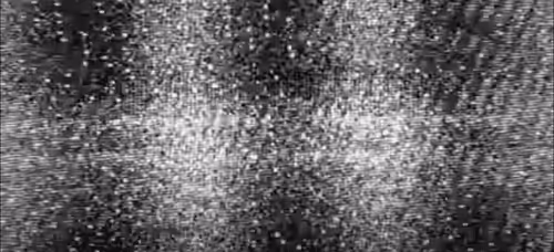 Untitled Collection #83996417