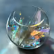Shaman`s treasure