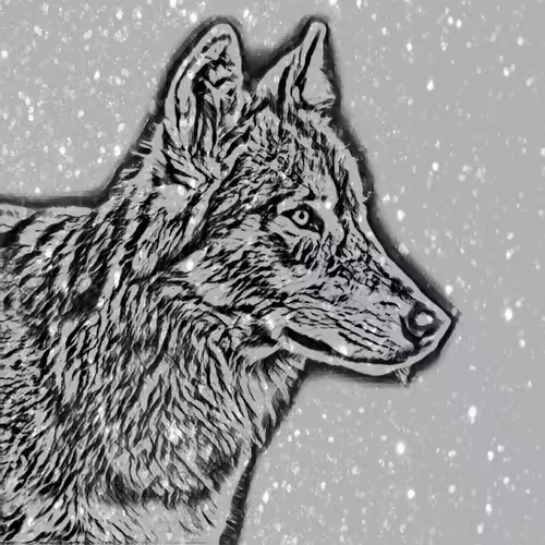 Item #13324389896169280785724229515865424122863587098162181637373510622863652028417 Media