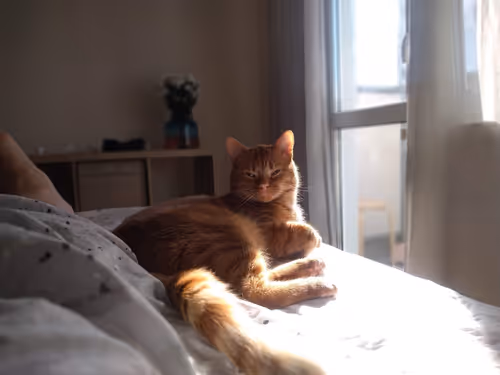 Item #74885386125841679683657863817676557915419392690100599251571086917603310960641 Media