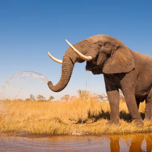 Untitled Collection #195356070