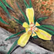 Back to Paradise