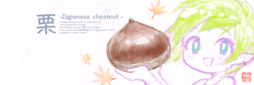 Shikigami Paper Header