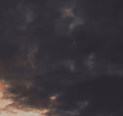 Untitled Collection #28748916