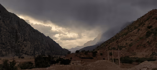 Untitled Collection #99205269