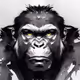 Black White Concept