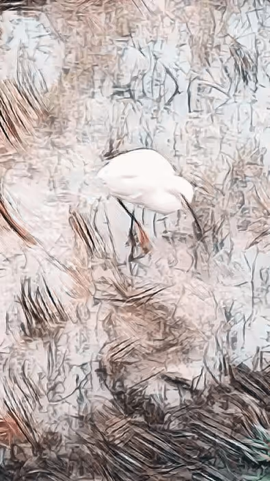 Item #100665082396174141855890121014930740576826293569193813829950182095899315929100 Media