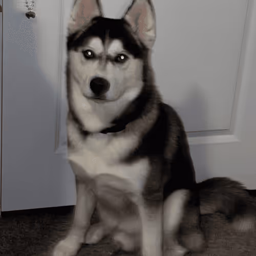 Untitled Collection #146190912