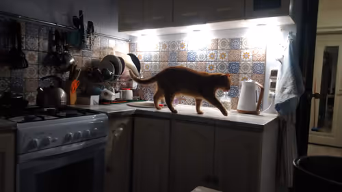 Item #74885386125841679683657863817676557915419392690100599251571086938494031888385 Media