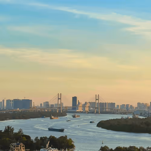 Untitled Collection #42265436