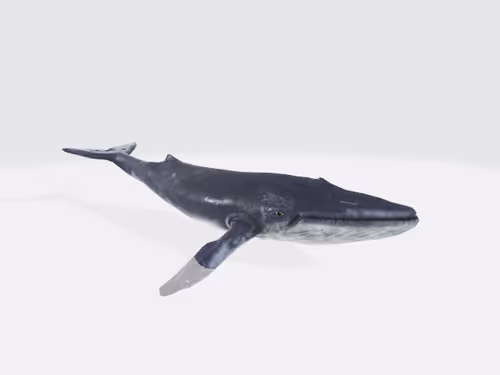 Item #15009102230280779827535312322766623134757849392359860066648722991974132482073 Media