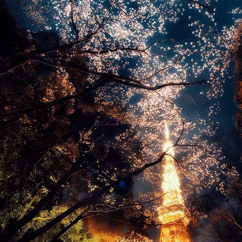 Untitled Collection #120243272