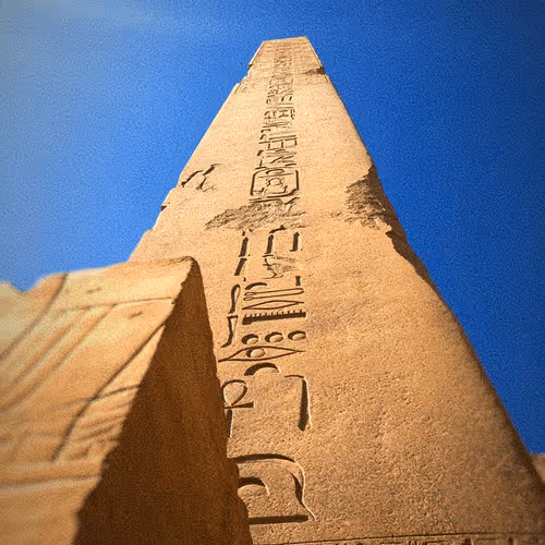 Untitled Collection #181184711