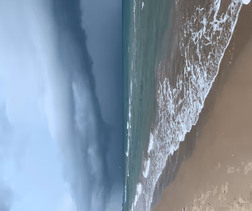 Item #82178559620026326219165803293821437144978059233678239568219416591211255824385 Media