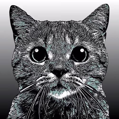 15 shades of cats