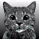 15 shades of cats