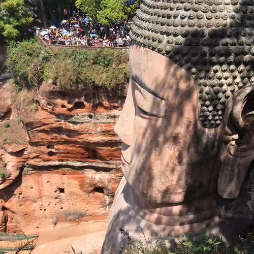 Untitled Collection #84392994