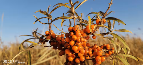 Untitled Collection #60764050