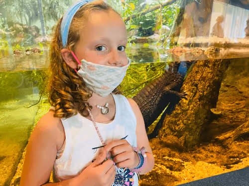 Untitled Collection #172247392