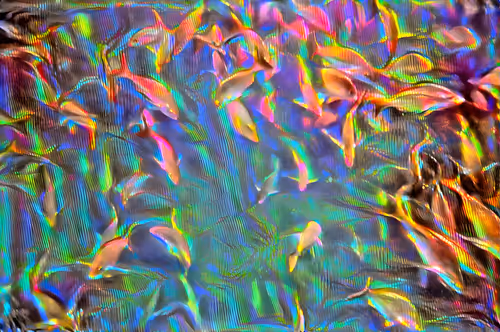 Item #113896502890197621361710805655838357977370310127607994191357366483509875572741 Media