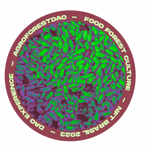 NFT Brasil Collection 2024