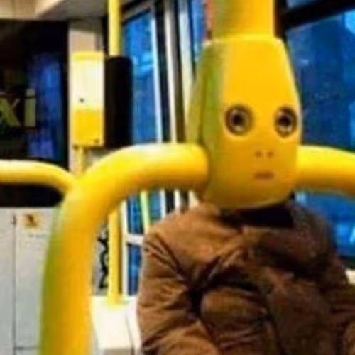 Untitled Collection #28989860