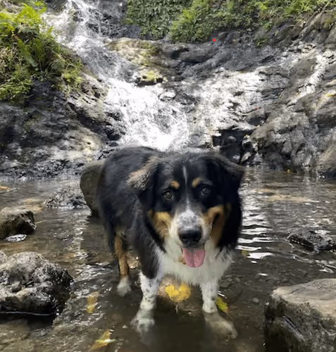 Untitled Collection #91126478