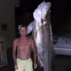 Untitled Collection #61243642