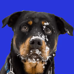 20263366600750275083551787550457323161745504762773807667868667815118319387624