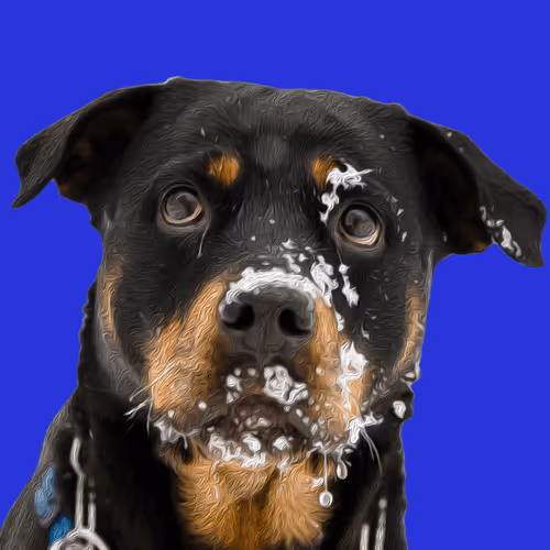 Item #20263366600750275083551787550457323161745504762773807667868667815118319387624 Media