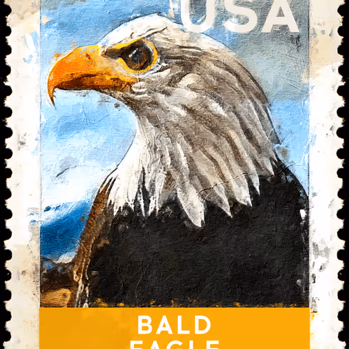 Untitled Collection #108715807