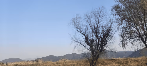 Untitled Collection #47839361