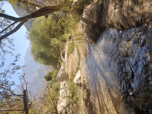 Untitled Collection #33612093