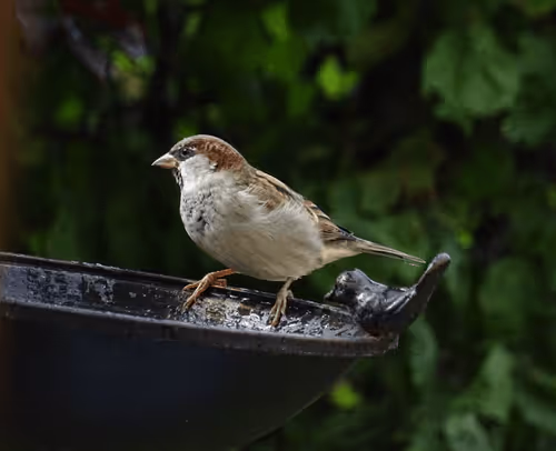 Spotting Nature
