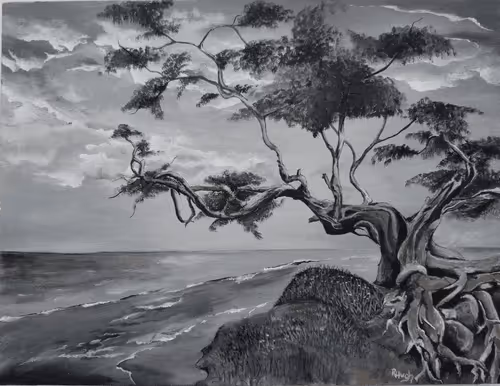 Untitled Collection #83259851