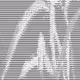근접[近接] Sq .·¨༺ ꙳⸌♡⸍꙳ ༻¨·. Ascii [ Generative Art ] ㅡ XNLKX VIA THE SS1