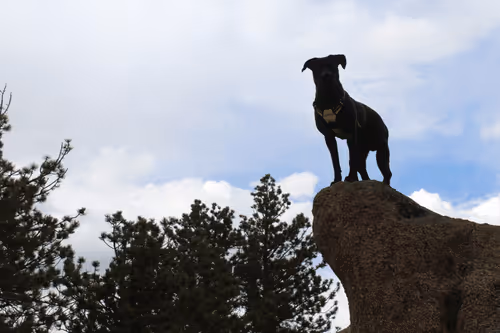 Untitled Collection #170282642