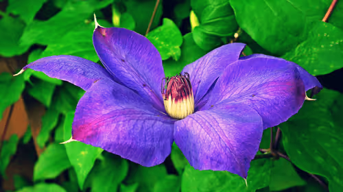 Untitled Collection #194170726